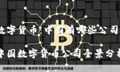 數(shù)字貨幣：中國(guó)有哪些公司

中國(guó)數(shù)字貨幣公司全景分析