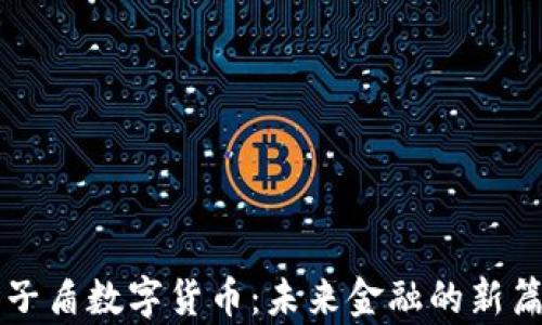 
量子盾數(shù)字貨幣：未來金融的新篇章
