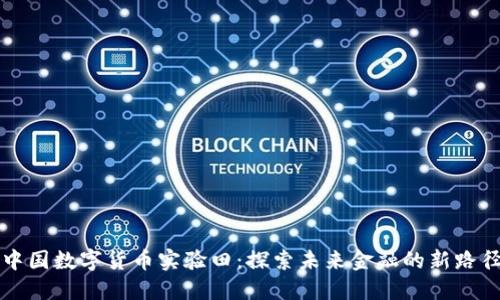 中國數(shù)字貨幣實驗田：探索未來金融的新路徑