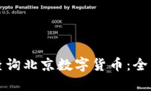如何查詢北京數(shù)字貨幣：全面指南