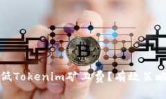 如何降低Tokenim礦工費？有