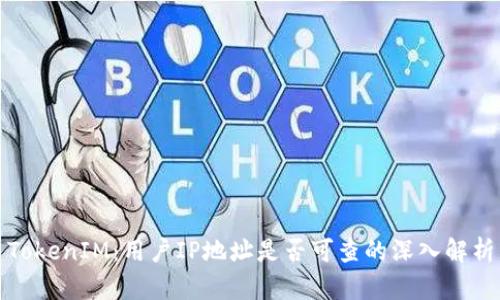 TokenIM：用戶IP地址是否可查的深入解析