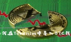 如何在Tokenim中導(dǎo)入BTC錢包