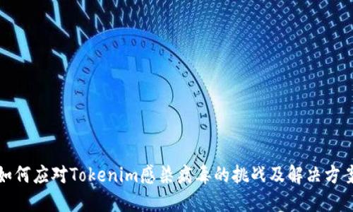 如何應(yīng)對Tokenim感染病毒的挑戰(zhàn)及解決方案