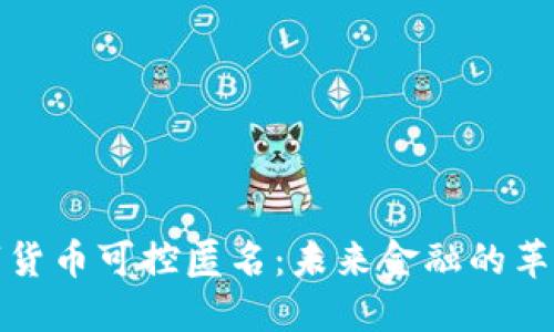 央行數(shù)字貨幣可控匿名：未來金融的革命與挑戰(zhàn)