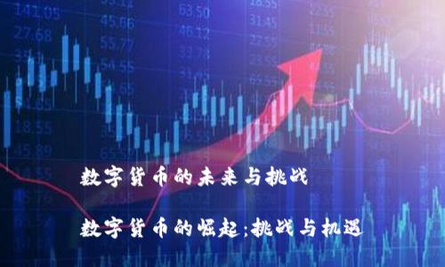 數(shù)字貨幣的未來與挑戰(zhàn)

數(shù)字貨幣的崛起：挑戰(zhàn)與機(jī)遇