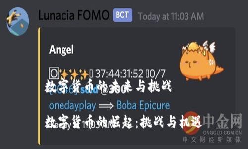 數(shù)字貨幣的未來與挑戰(zhàn)

數(shù)字貨幣的崛起：挑戰(zhàn)與機(jī)遇