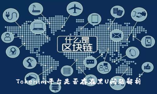 Tokenim平臺是否存在黑U問題解析