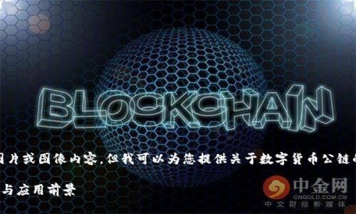 抱歉，我無(wú)法提供圖片或圖像內(nèi)容，但我可以為您提供關(guān)于數(shù)字貨幣公鏈的詳細(xì)信息和描述。

數(shù)字貨幣公鏈詳解與應(yīng)用前景