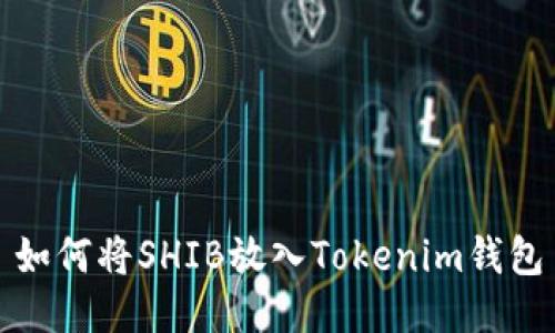 如何將SHIB放入Tokenim錢包