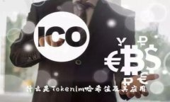 什么是Tokenim哈希值及其應(yīng)