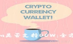 Tokenim是否支持DDW：全方位