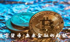 :民間數(shù)字貨幣：未來金融