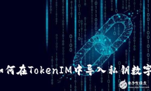 如何在TokenIM中導(dǎo)入私鑰數(shù)字？
