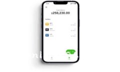 如何在Tokenim的DApp中顯示