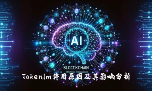 Tokenim停用原因及其影響分析