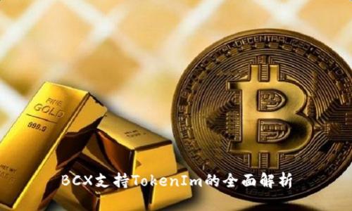 BCX支持TokenIm的全面解析