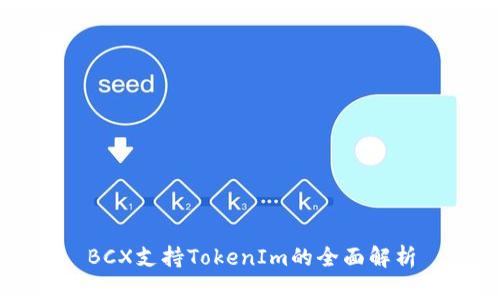 BCX支持TokenIm的全面解析