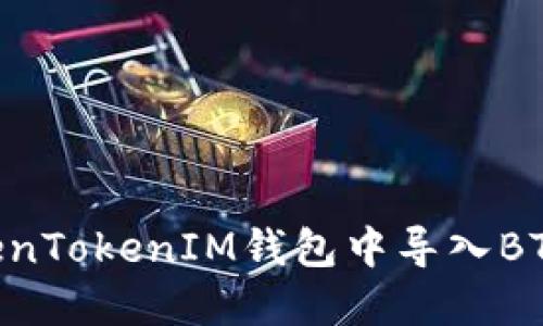 如何在TokenTokenIM錢包中導(dǎo)入BTS：詳細指南