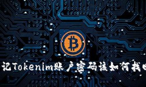 忘記Tokenim賬戶密碼該如何找回？