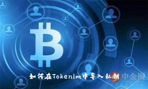 如何在Tokenim中導(dǎo)入私鑰