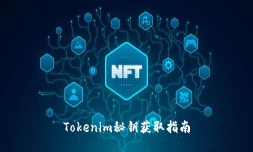 Tokenim秘鑰獲取指南