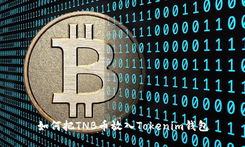 如何把TNB幣放入Tokenim錢包