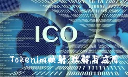 Tokenim映射：理解與應(yīng)用