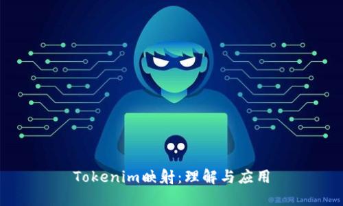 Tokenim映射：理解與應(yīng)用