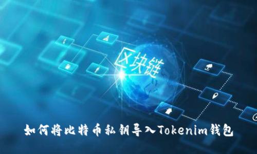 如何將比特幣私鑰導(dǎo)入Tokenim錢包