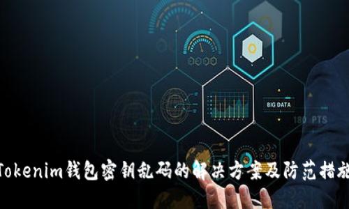 Tokenim錢包密鑰亂碼的解決方案及防范措施