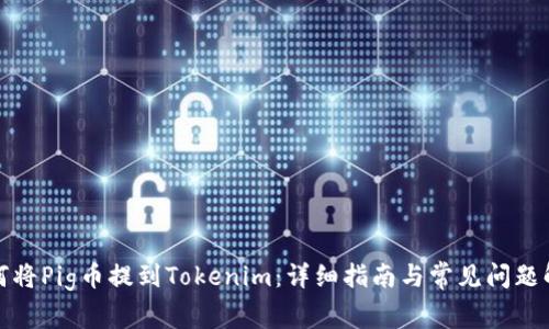 如何將Pig幣提到Tokenim：詳細(xì)指南與常見問題解答
