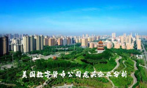 美國(guó)數(shù)字貨幣公司龍頭企業(yè)分析