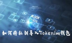 如何將私鑰導入Tokenim錢包