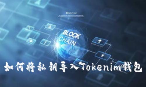如何將私鑰導(dǎo)入Tokenim錢包