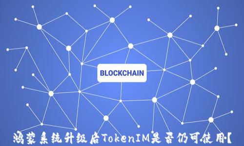
鴻蒙系統(tǒng)升級后TokenIM是否仍可使用？